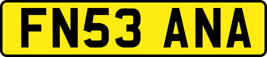 FN53ANA