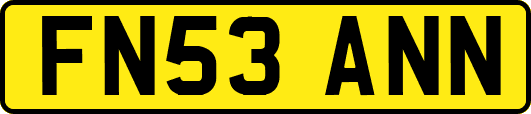 FN53ANN