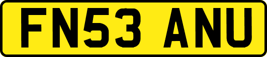 FN53ANU