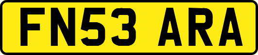 FN53ARA