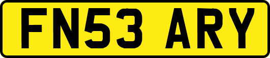 FN53ARY