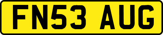FN53AUG