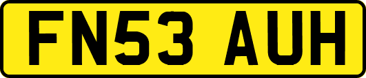 FN53AUH