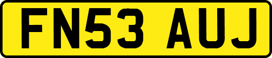 FN53AUJ