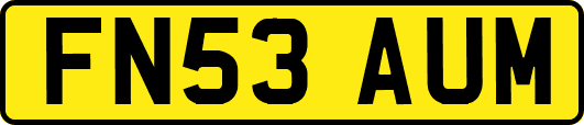 FN53AUM