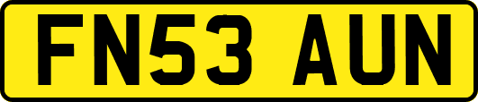 FN53AUN