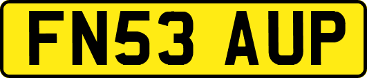 FN53AUP