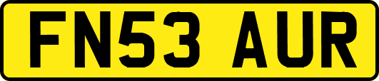 FN53AUR