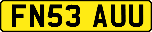 FN53AUU