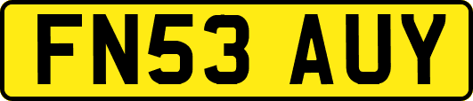 FN53AUY