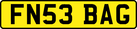 FN53BAG