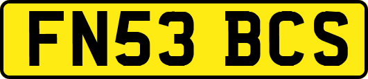 FN53BCS