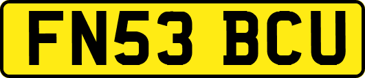 FN53BCU