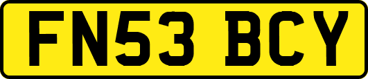 FN53BCY