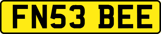 FN53BEE