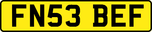 FN53BEF