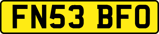 FN53BFO