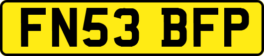 FN53BFP
