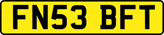 FN53BFT
