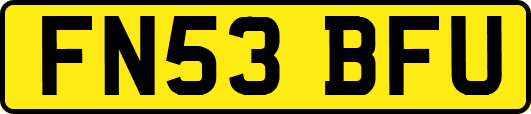 FN53BFU