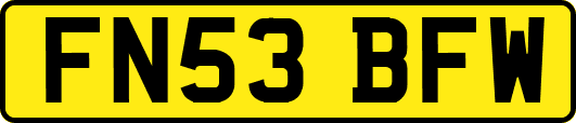 FN53BFW