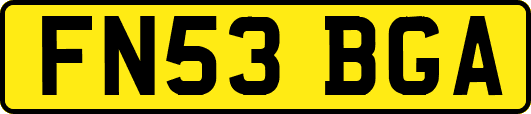 FN53BGA