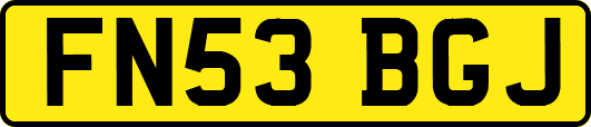 FN53BGJ