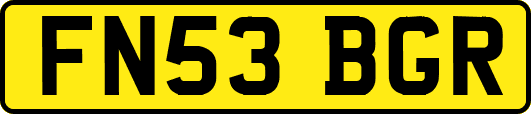 FN53BGR