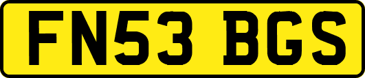 FN53BGS