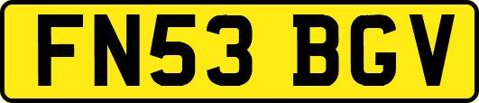 FN53BGV