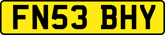 FN53BHY