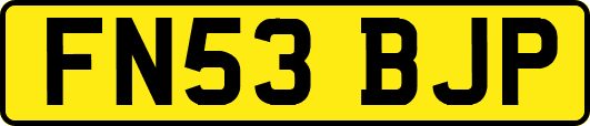 FN53BJP