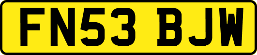 FN53BJW