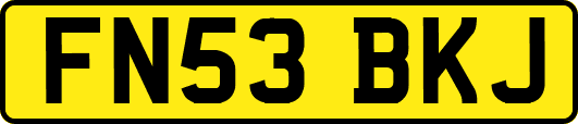 FN53BKJ