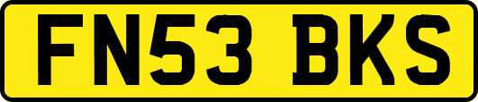 FN53BKS