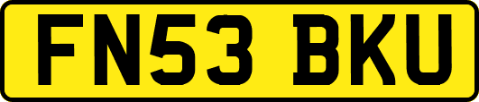FN53BKU