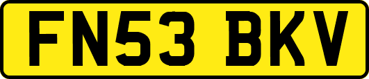 FN53BKV