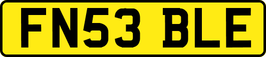 FN53BLE