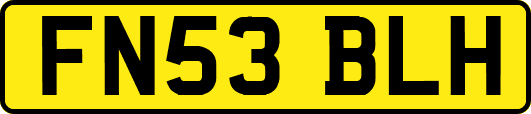 FN53BLH