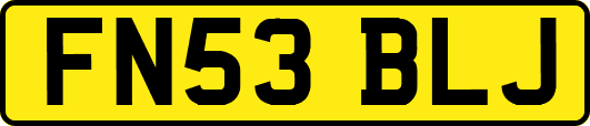 FN53BLJ