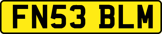 FN53BLM