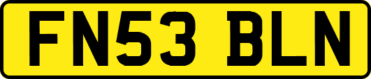 FN53BLN