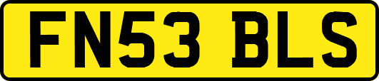 FN53BLS