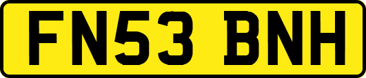 FN53BNH