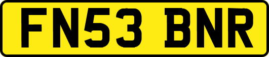 FN53BNR