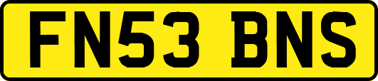 FN53BNS