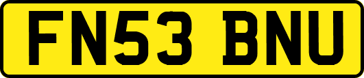 FN53BNU
