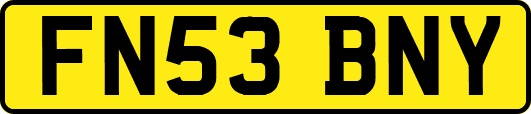 FN53BNY