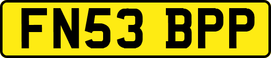 FN53BPP