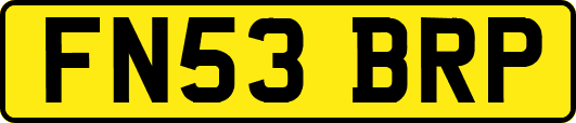 FN53BRP